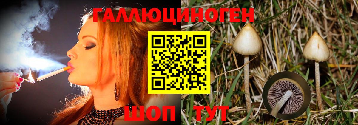 Кувандык  Галлюциногенные грибы Psilocybe  Галлюциногенные грибы мицелий  Вход с VPN 
